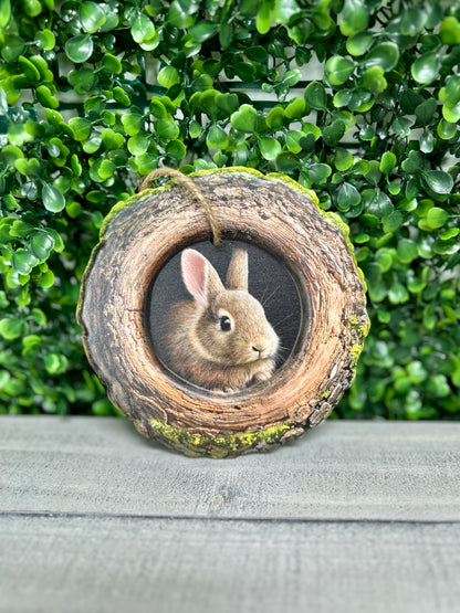 5.25 Inch Bunny In A Tree Sign