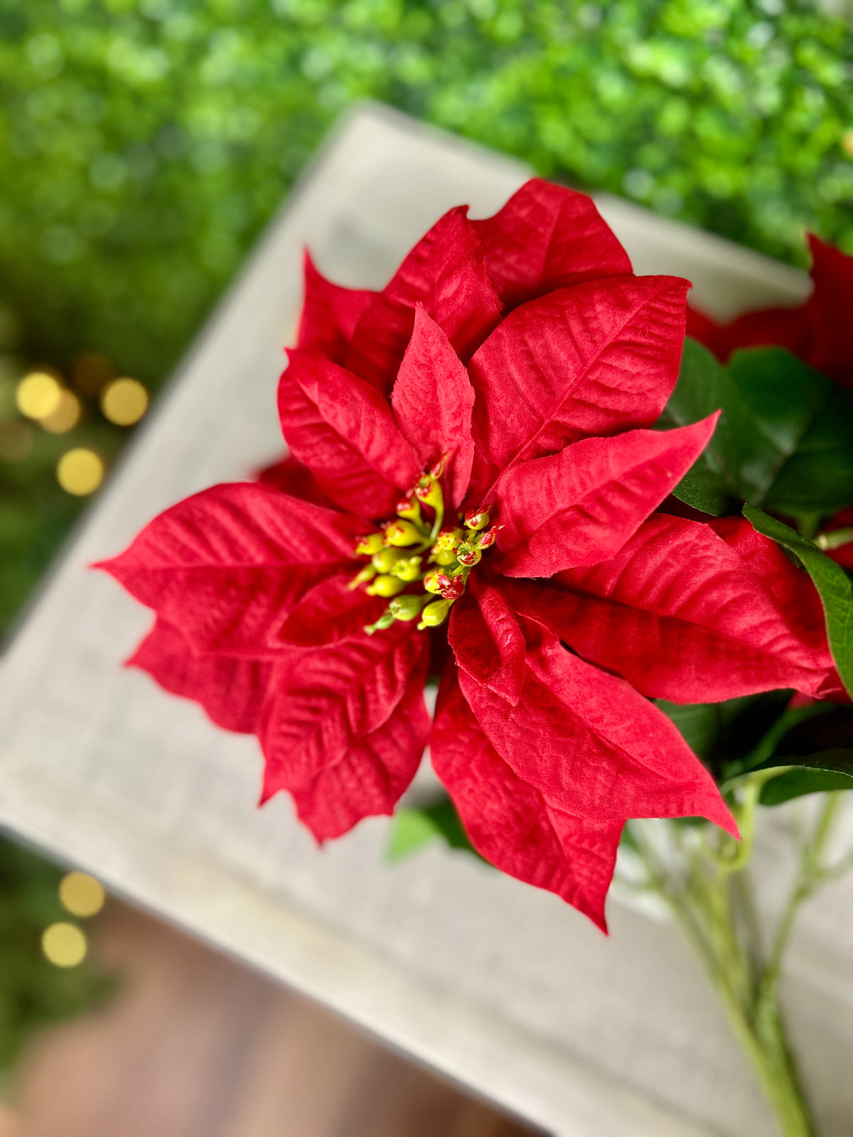 16 Inch Red Poinsettia Bush