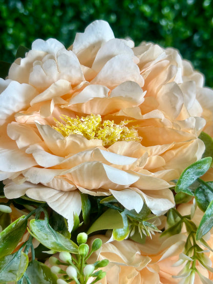 21 Inch Apricot Peony Bush