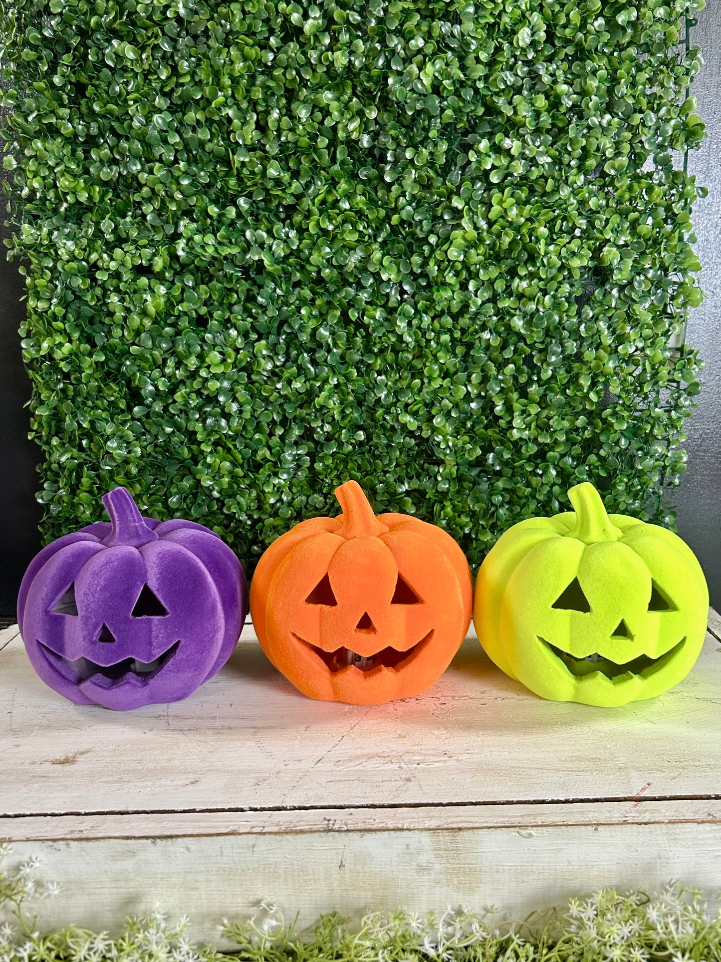 6 Inch Lighted Resin Flocked Halloween Pumpkin Three Styles