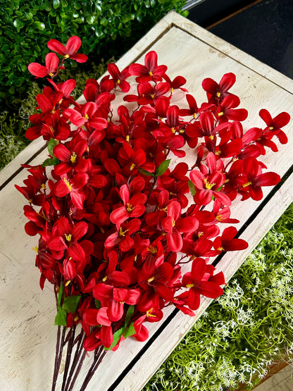 24 Inch Red Tweedia Bush