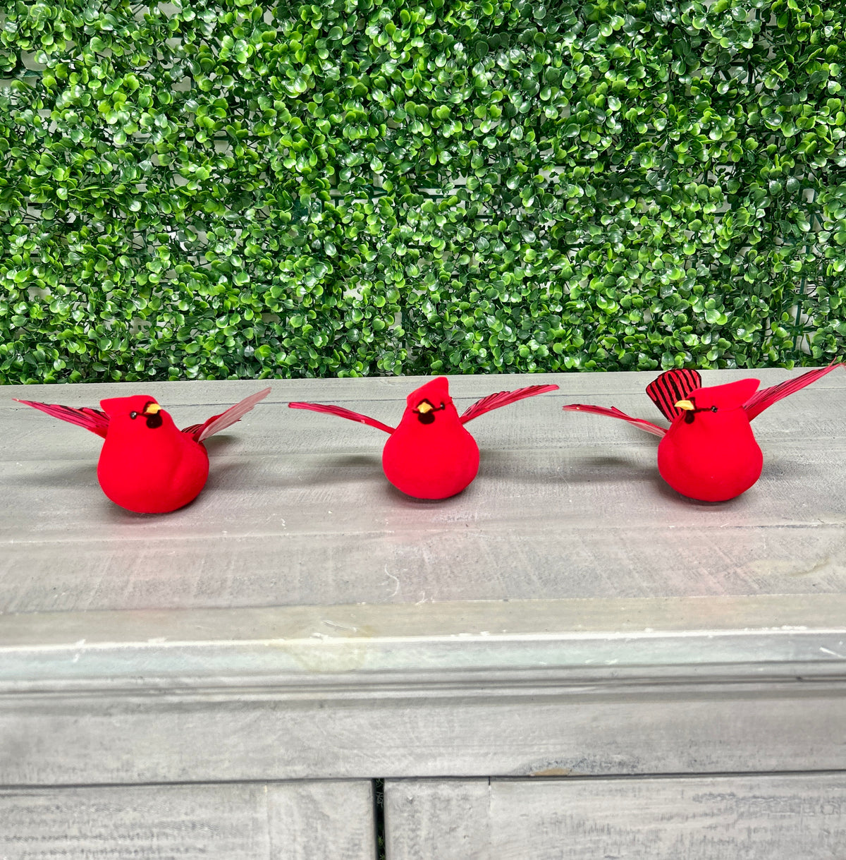 6 Inch Flying Cardinals Set Of Six