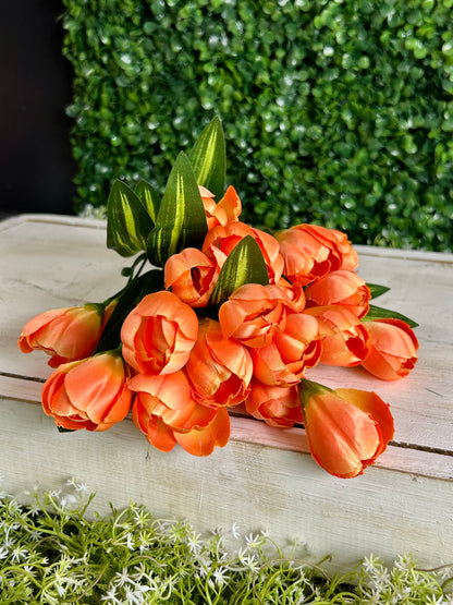 18.5 Inch Orange Crocus Bush