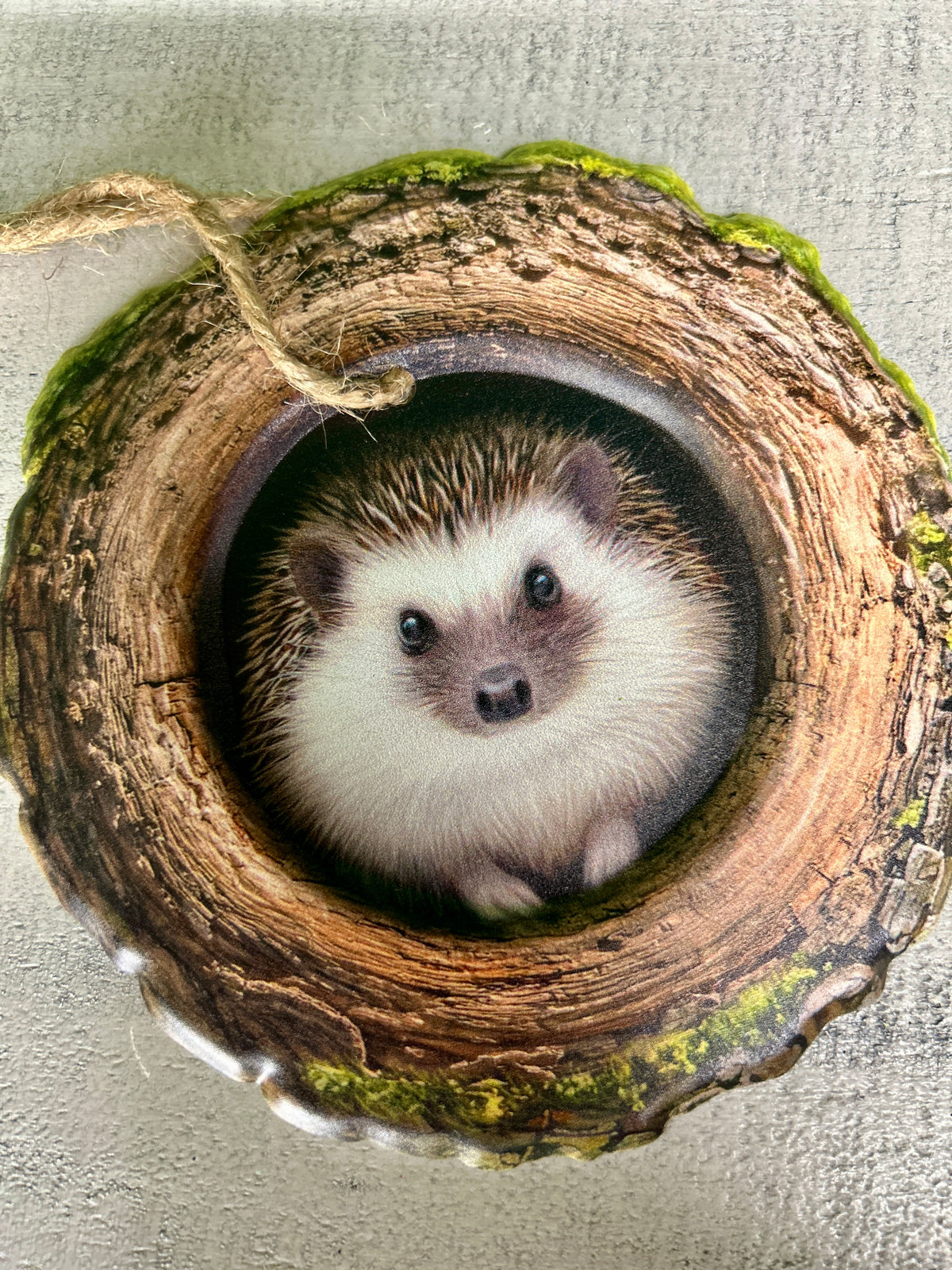 5.25 Inch Hedgehog In A Tree Sign