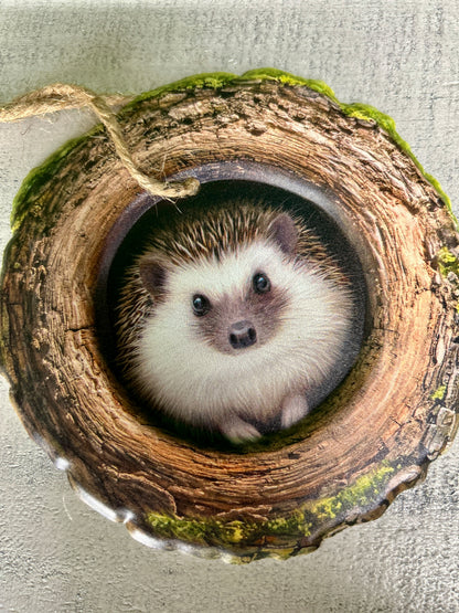 5.25 Inch Hedgehog In A Tree Sign