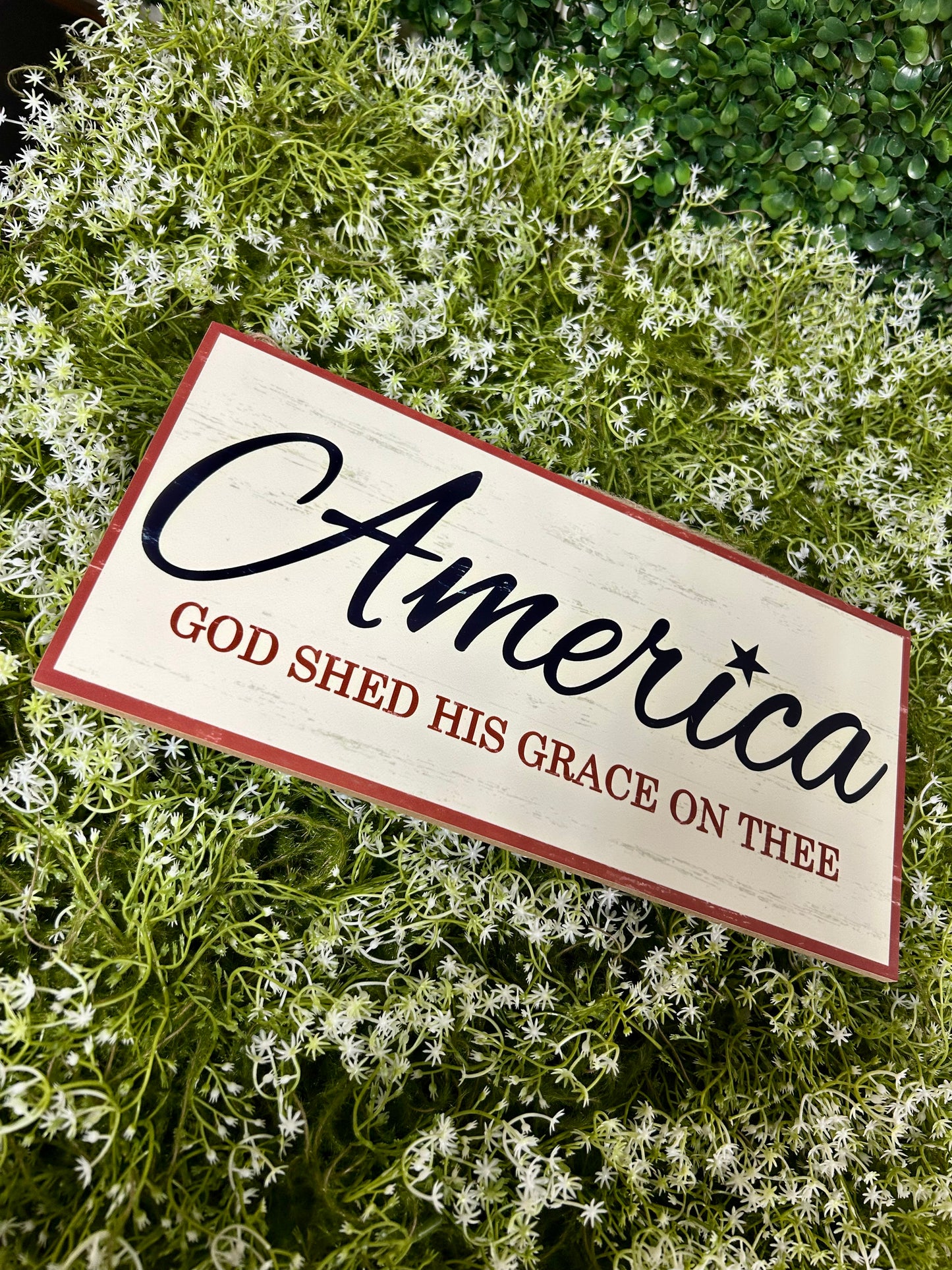 12.5 Inch America God Shed His Grace Wood Sign