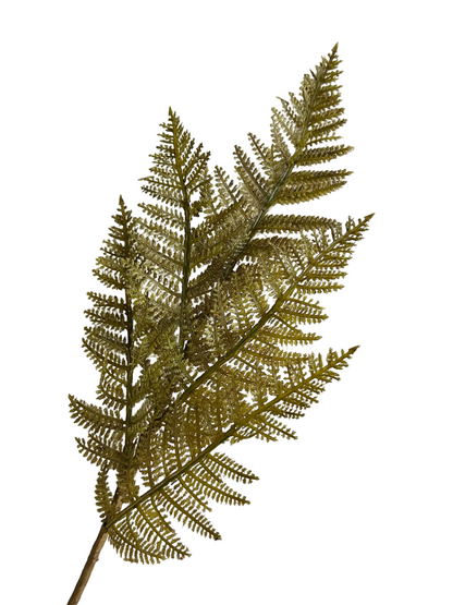 18 Inch Green Fern Spray