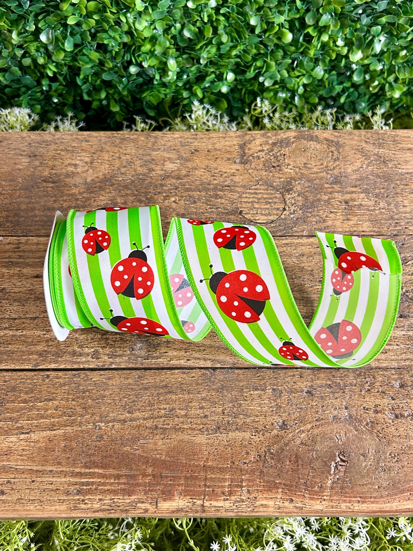 2.5 Inch By 10 Yard Ladybug On Stripes Ribbon