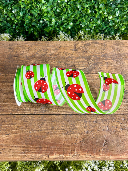 2.5 Inch By 10 Yard Ladybug On Stripes Ribbon