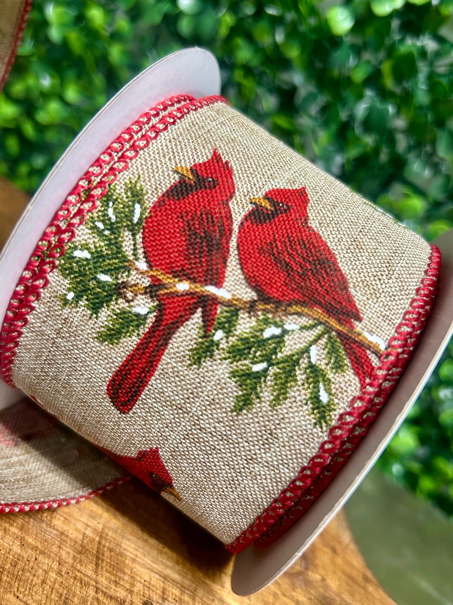 2.5 Inch By 10 Yard Cardinal On A Branch Ribbon