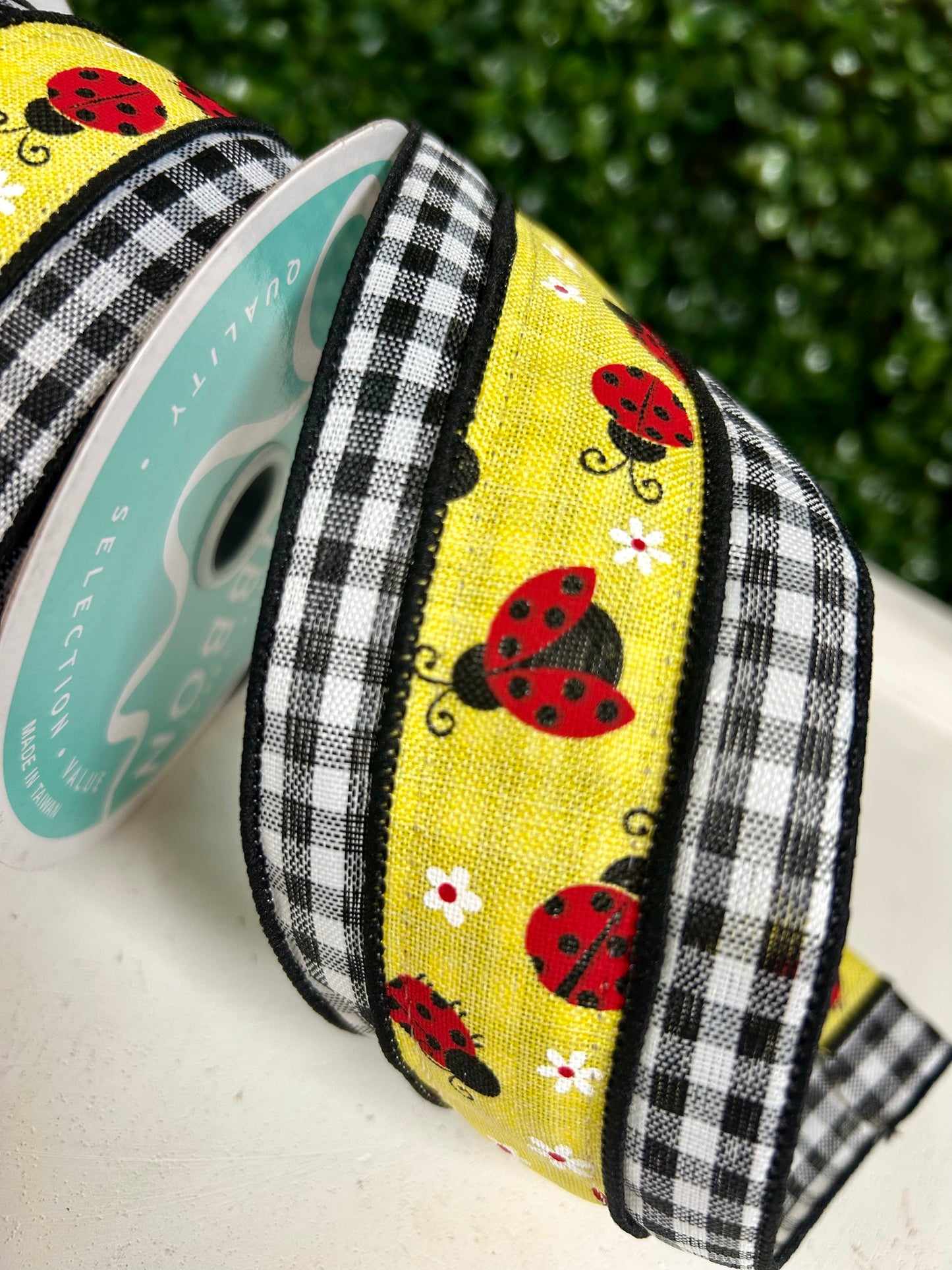 2.5 Inch By 10 Yard Ladybug On Check Ribbon