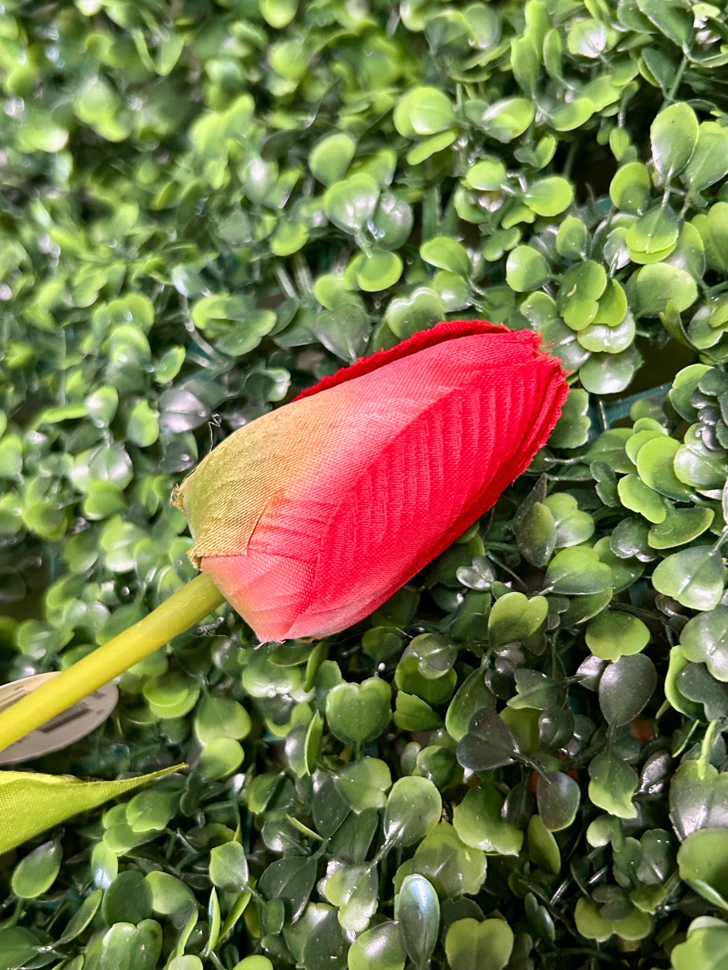 21.25 Inch Red Tulip Spray