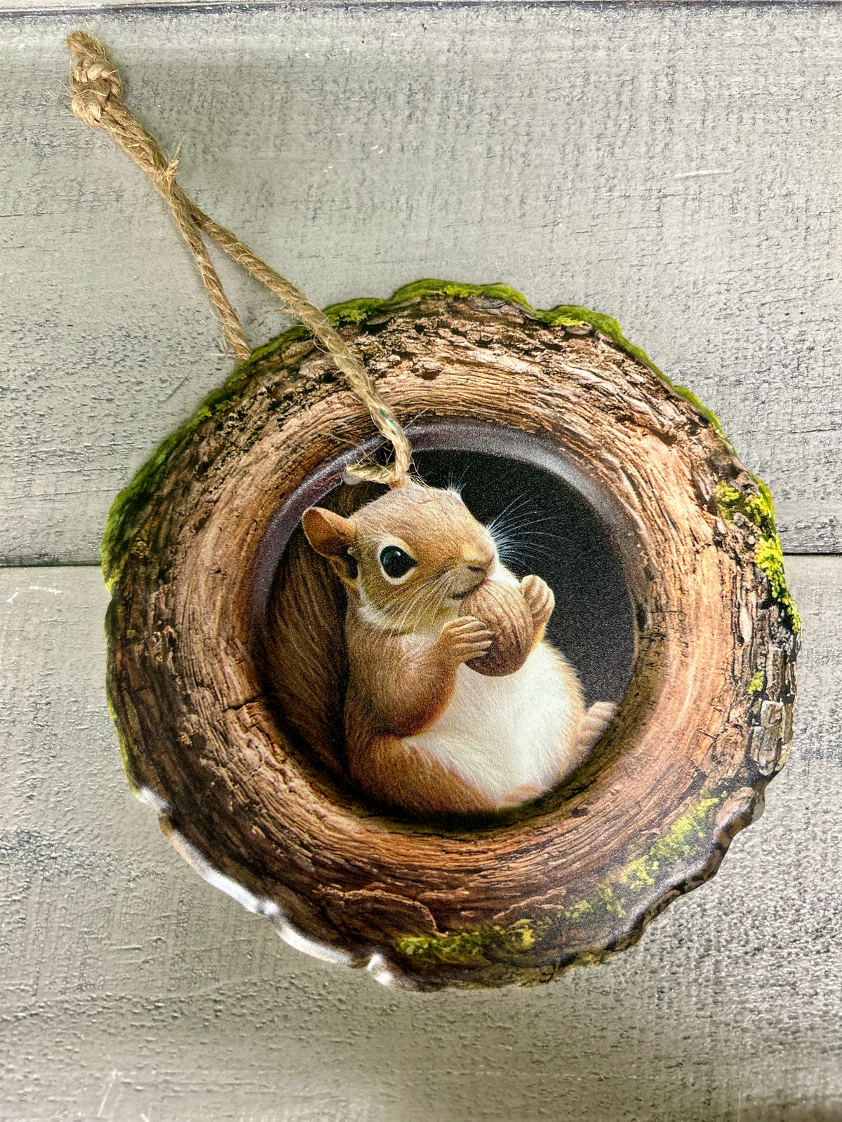 5.25 Inch Squirrel In A Tree Metal Sign