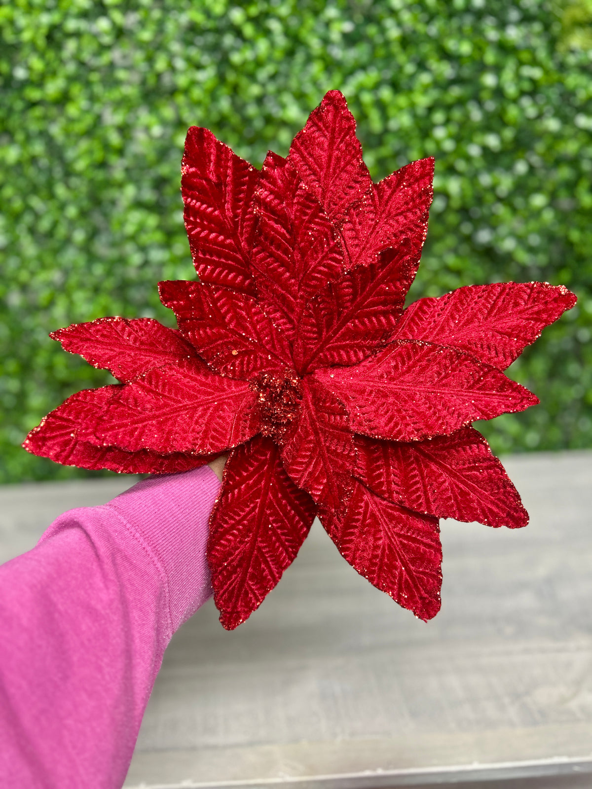 20.5 Inch Cranberry Poinsettia Stem