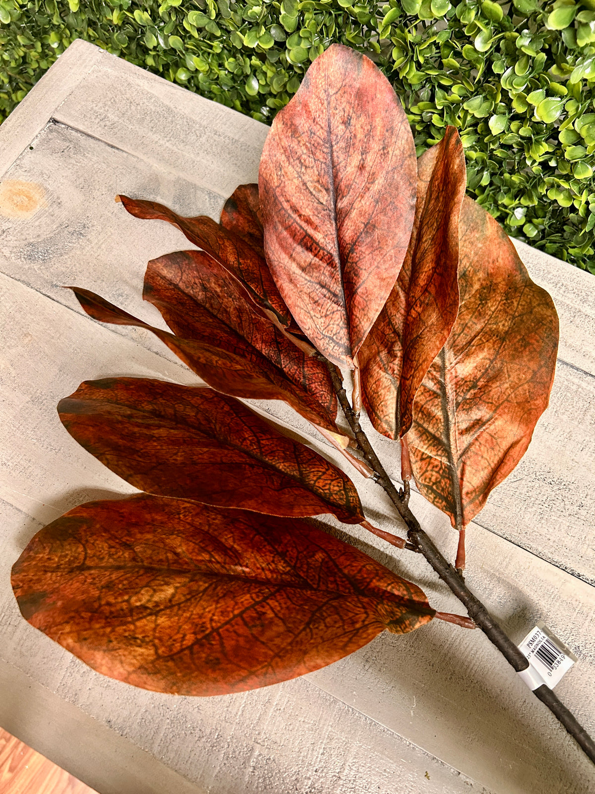 25 Inch Brown Magnolia Leaf Spray
