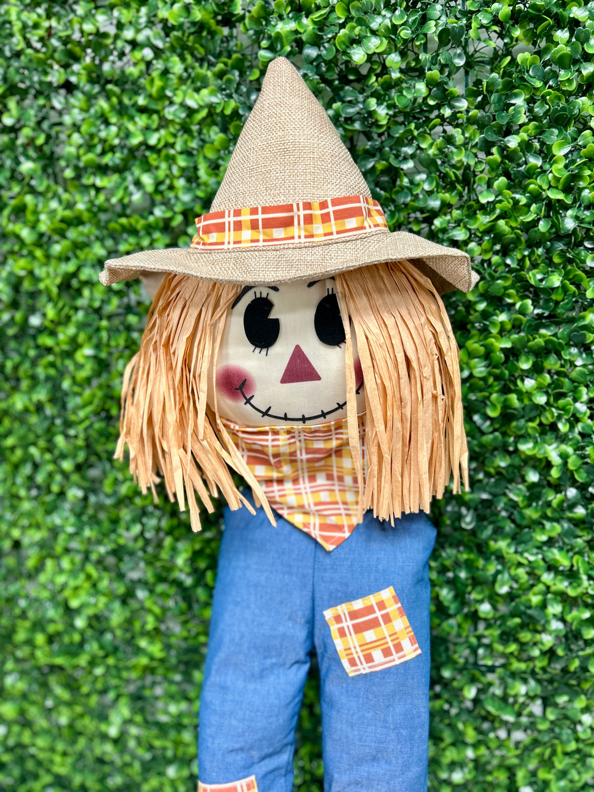 2 Piece 29.25 Inch Male Scarecrow Decor Kit