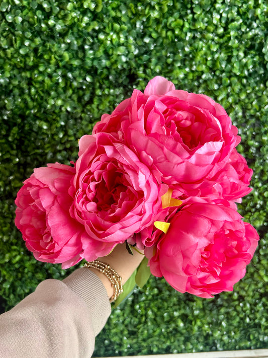 17 Inch Hot Pink Garden Peony Bush