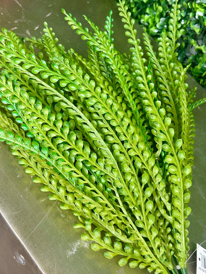 18 Inch Green Peacock Grass Bush