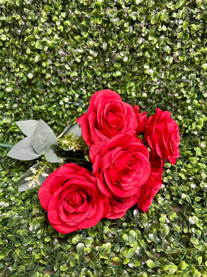 17 Inch Red Southern Rose Bush