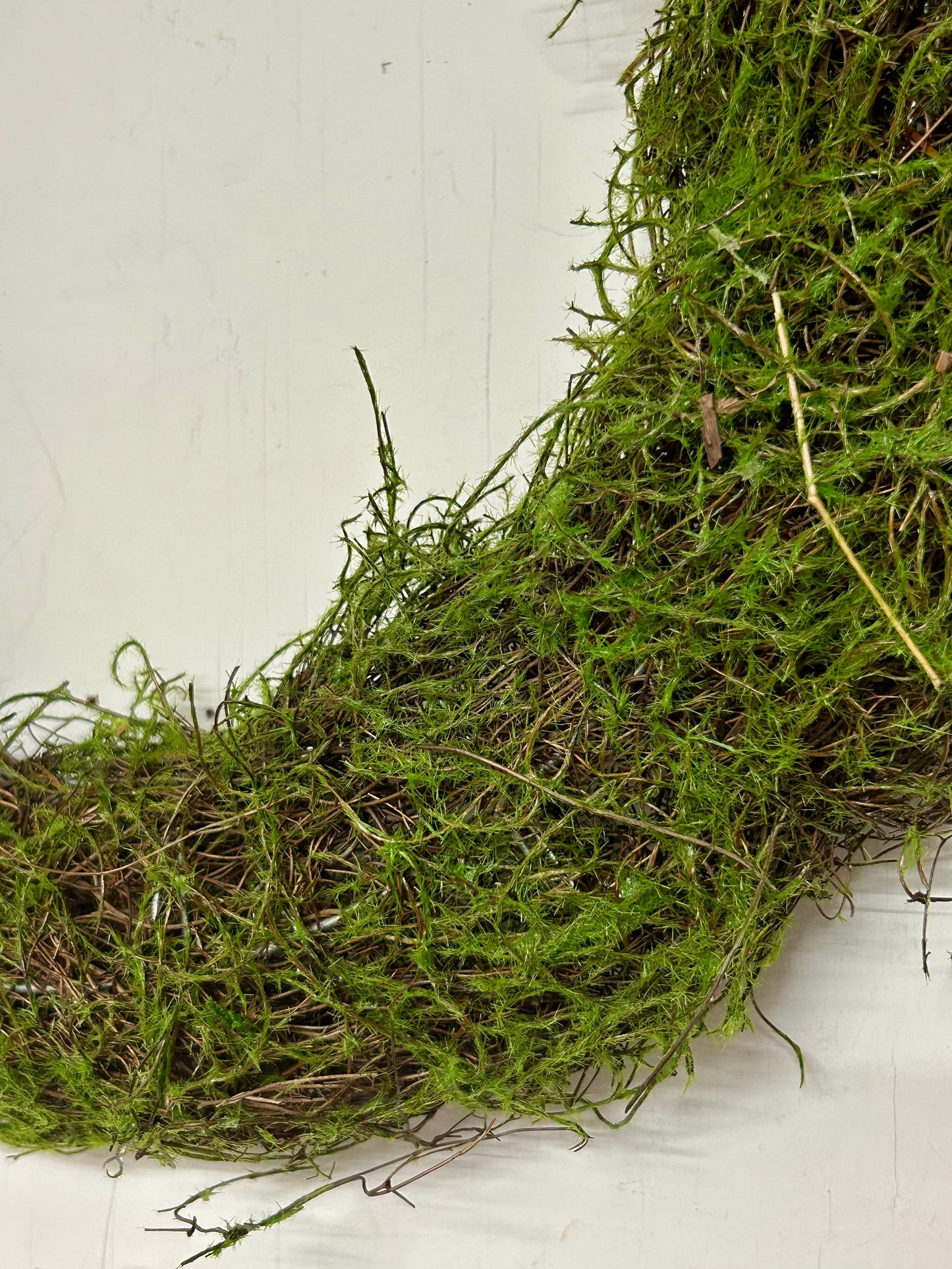 16 Inch Moss And Vine Wreath