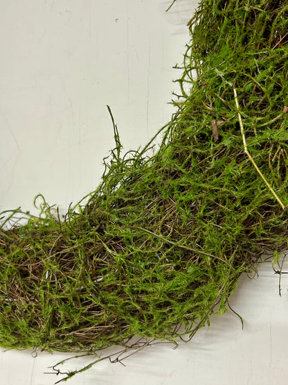16 Inch Moss And Vine Wreath