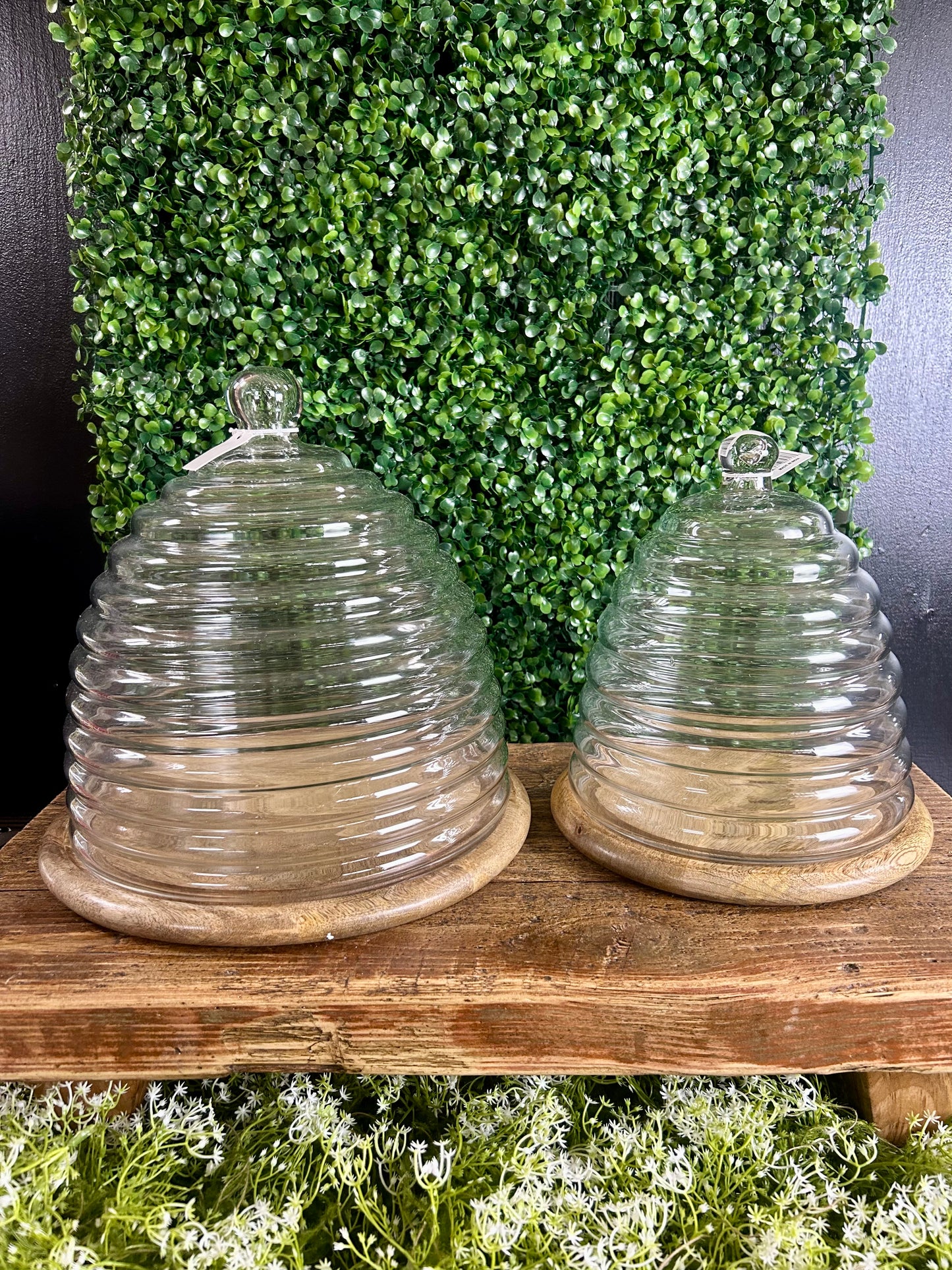 Beehive Glass Cloches With Wood Trays Two Styles