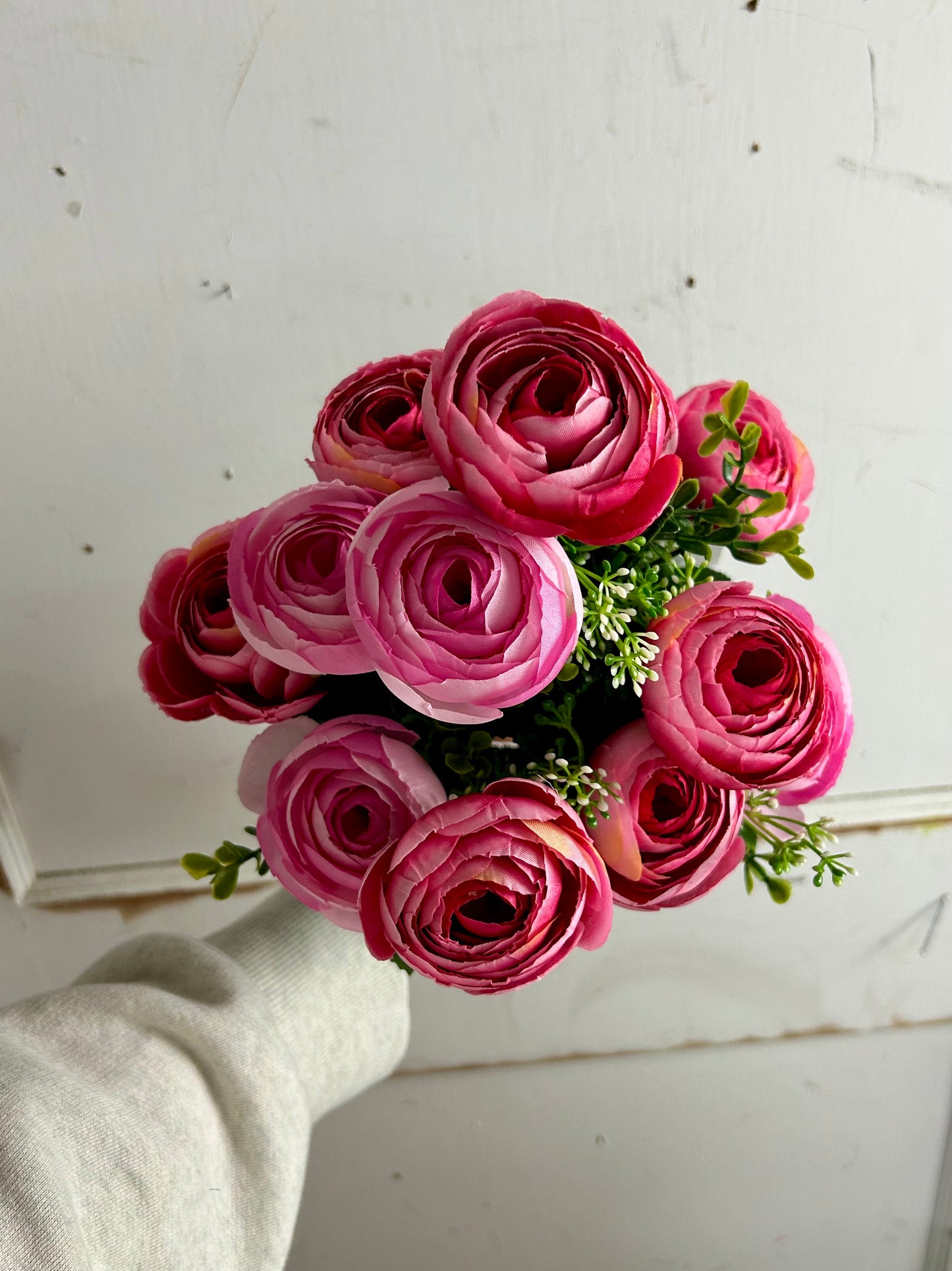 Pink And Fuchsia Ranunculus Bush
