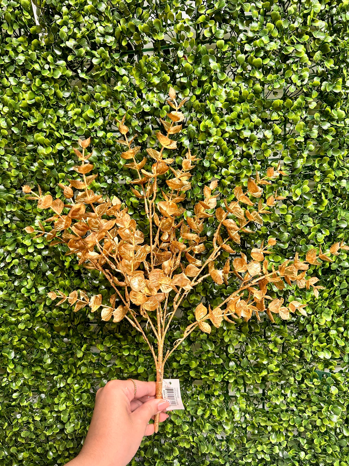 18 Inch Gold Eucalyptus Bush