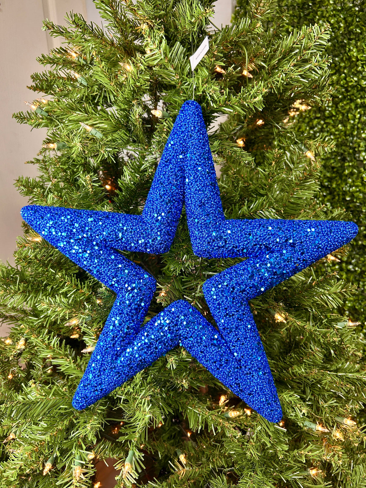 14 Inch Blue Star Ornament