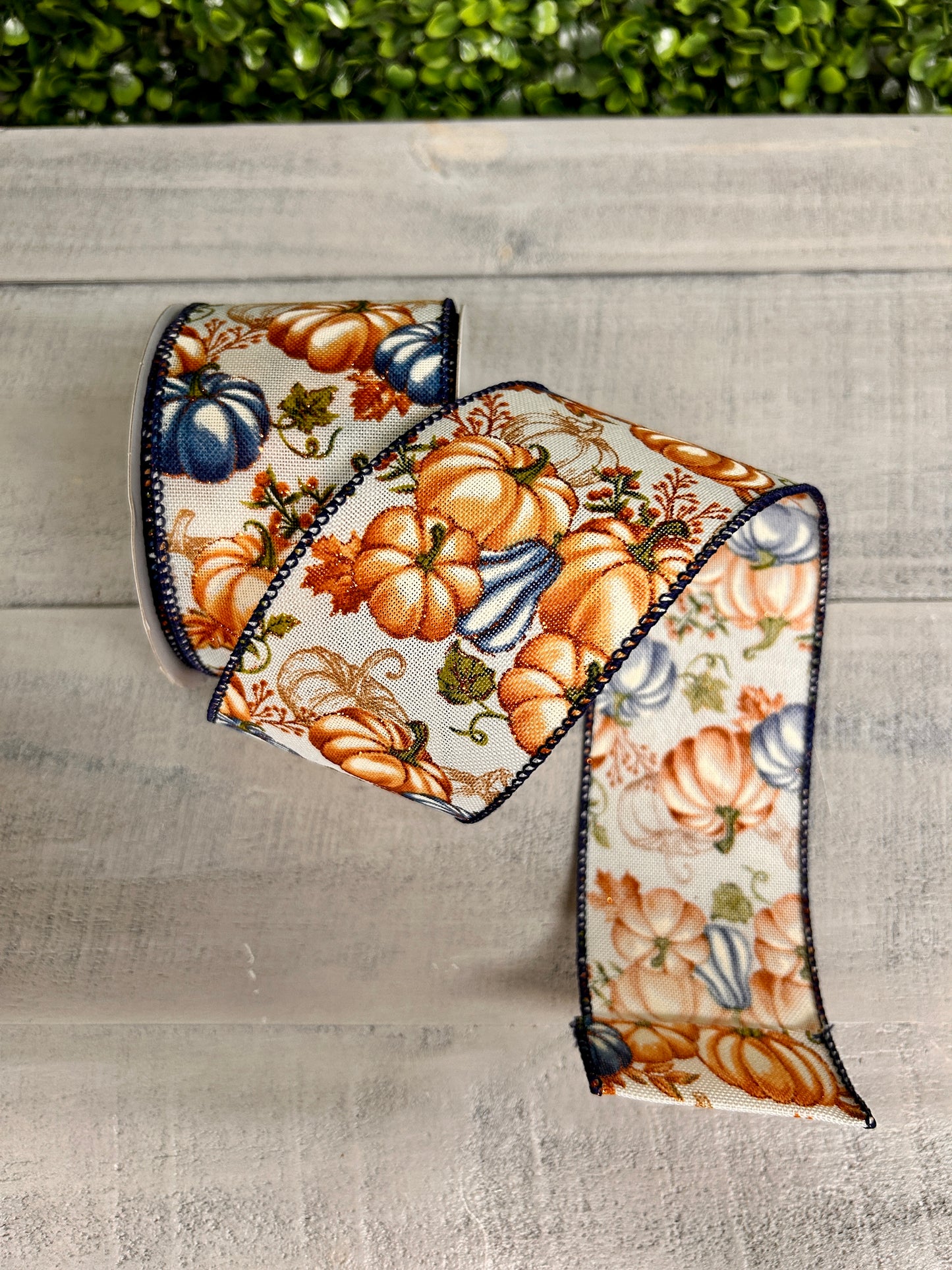 2.5 Inch By 10 Yard Cream Rust Dusty Blue Pumpkin Ribbon