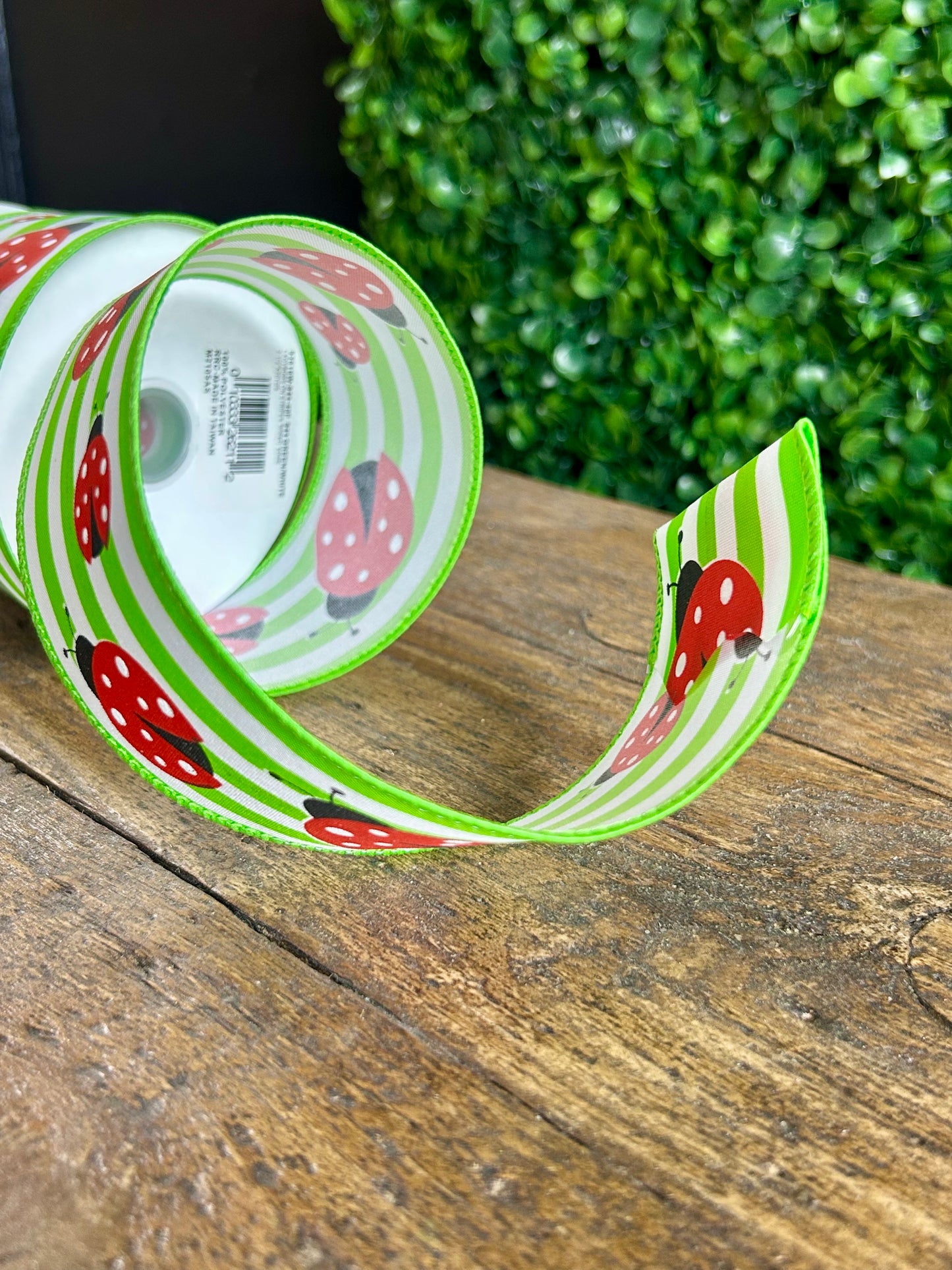 2.5 Inch By 10 Yard Ladybug On Stripes Ribbon