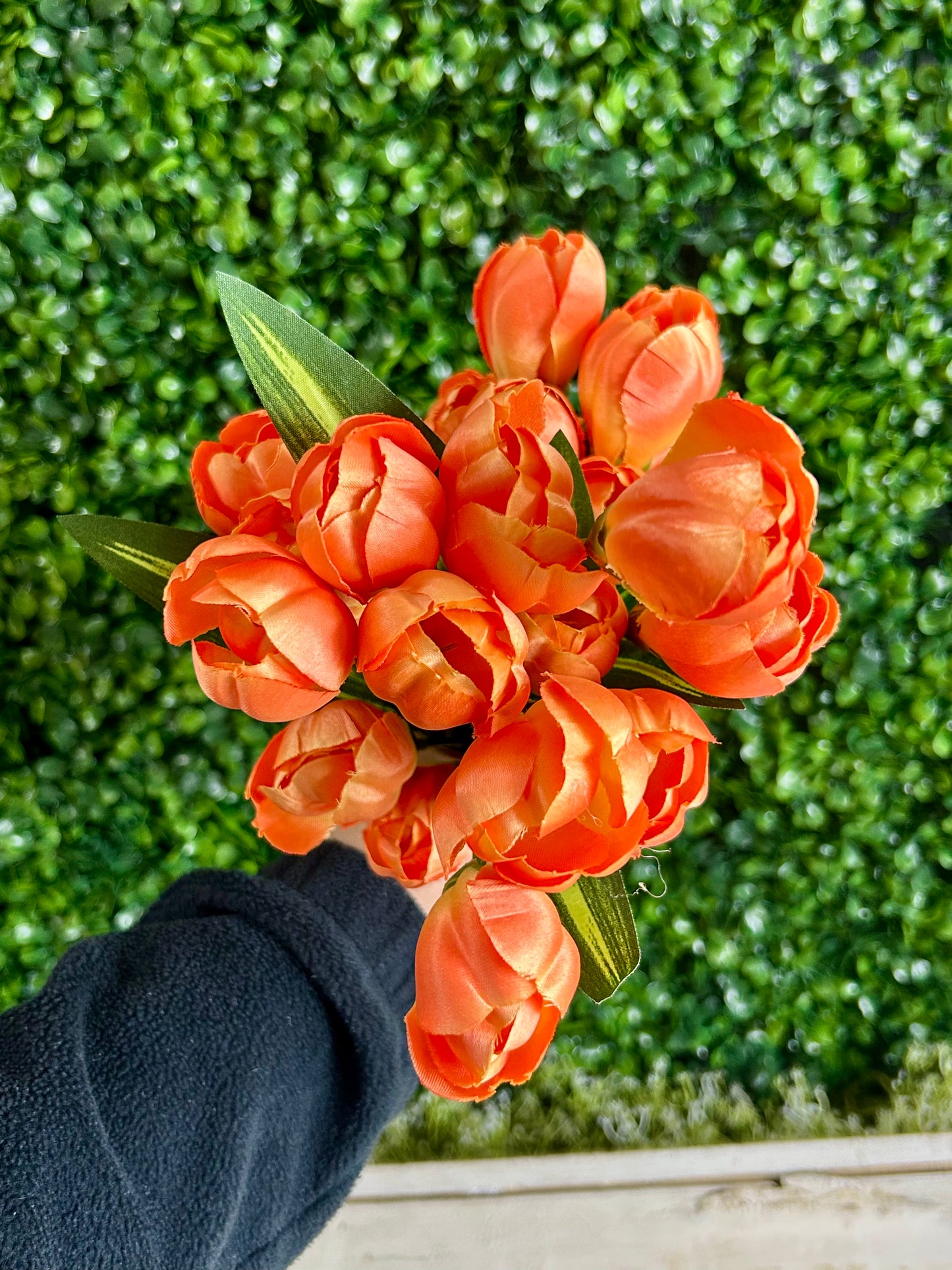 18.5 Inch Orange Crocus Bush