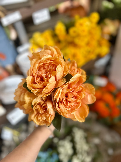 14 Inch Orange Peony Bush