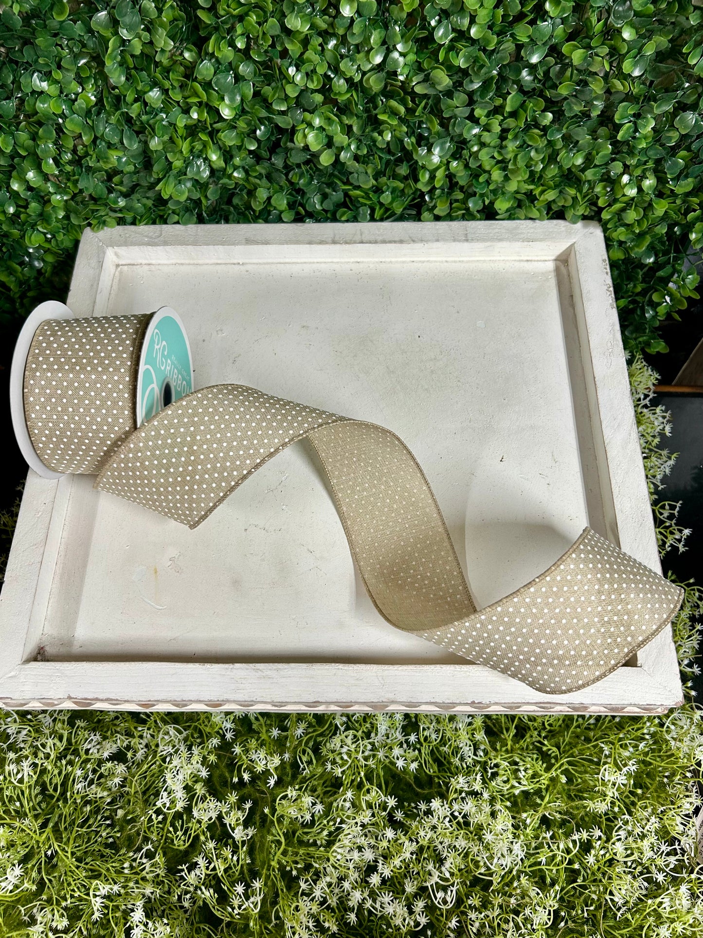 2.5 Inch By 10 Yard Natural And White Raised Swiss Dots On Royal Ribbon