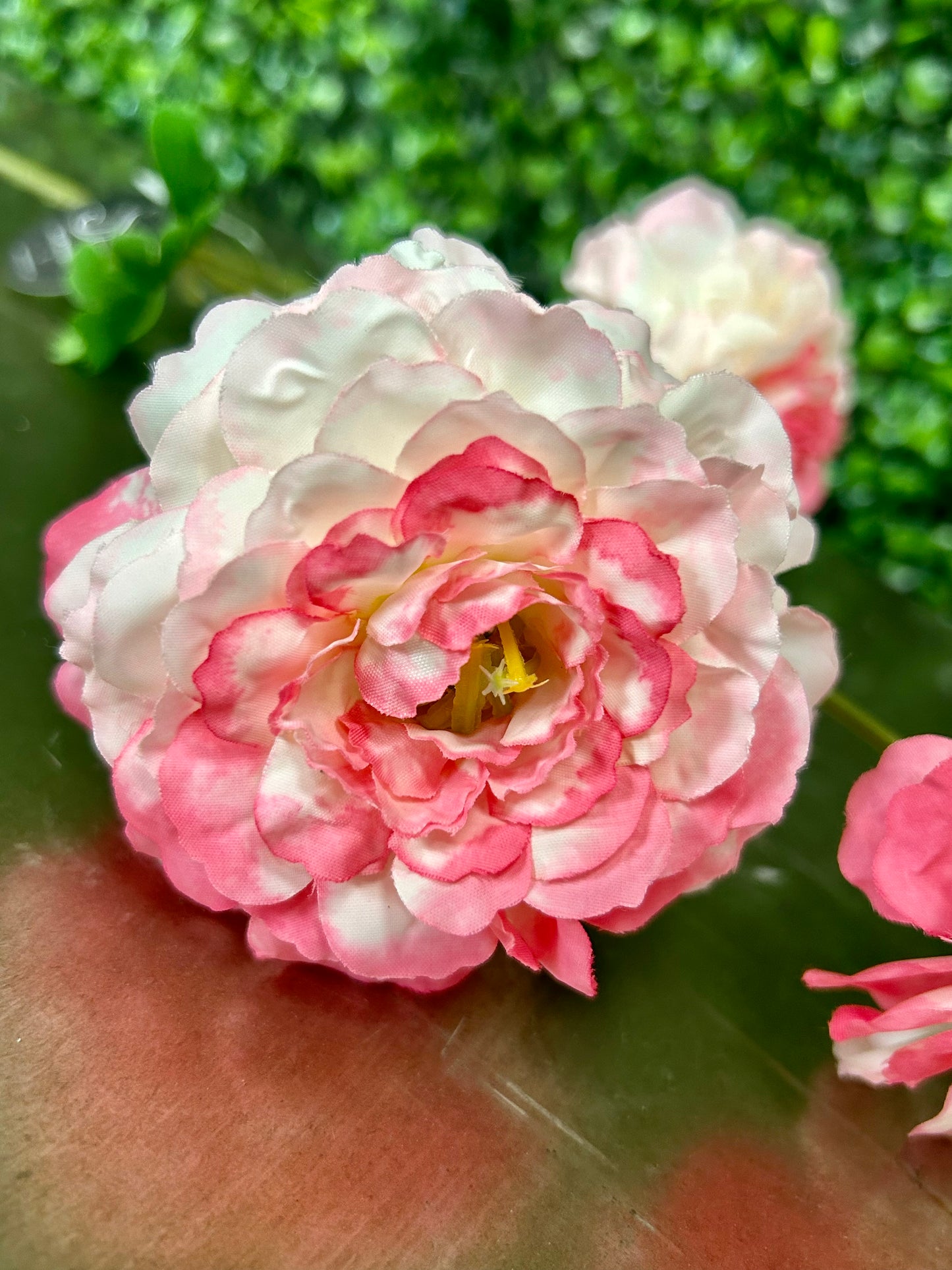 25 Inch Pink And Fuchsia French Marigold Spray