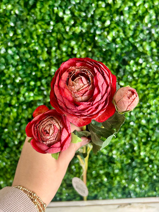 23 Inch Burgundy Caressed Sunrise Triple Peony Spray