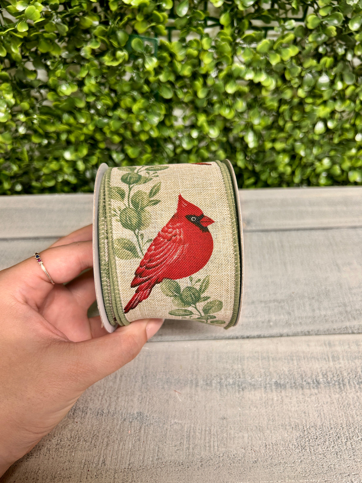 2.5 Inch By 10 Yard Cardinal With Eucalyptus Ribbon