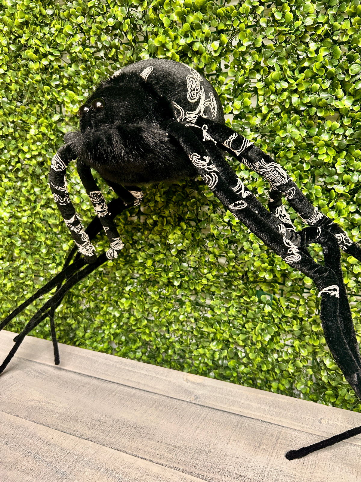 38 Inch Black Spider
