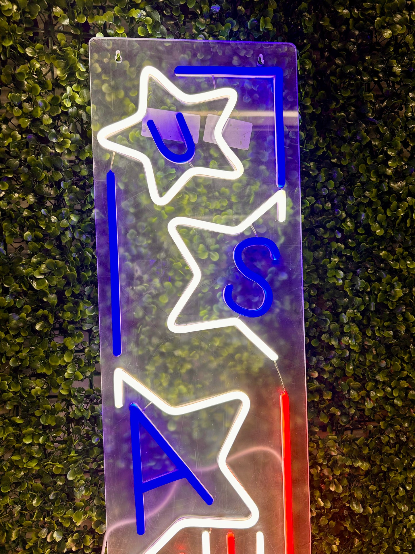 USA Neon Lighted Porch Leaner Sign