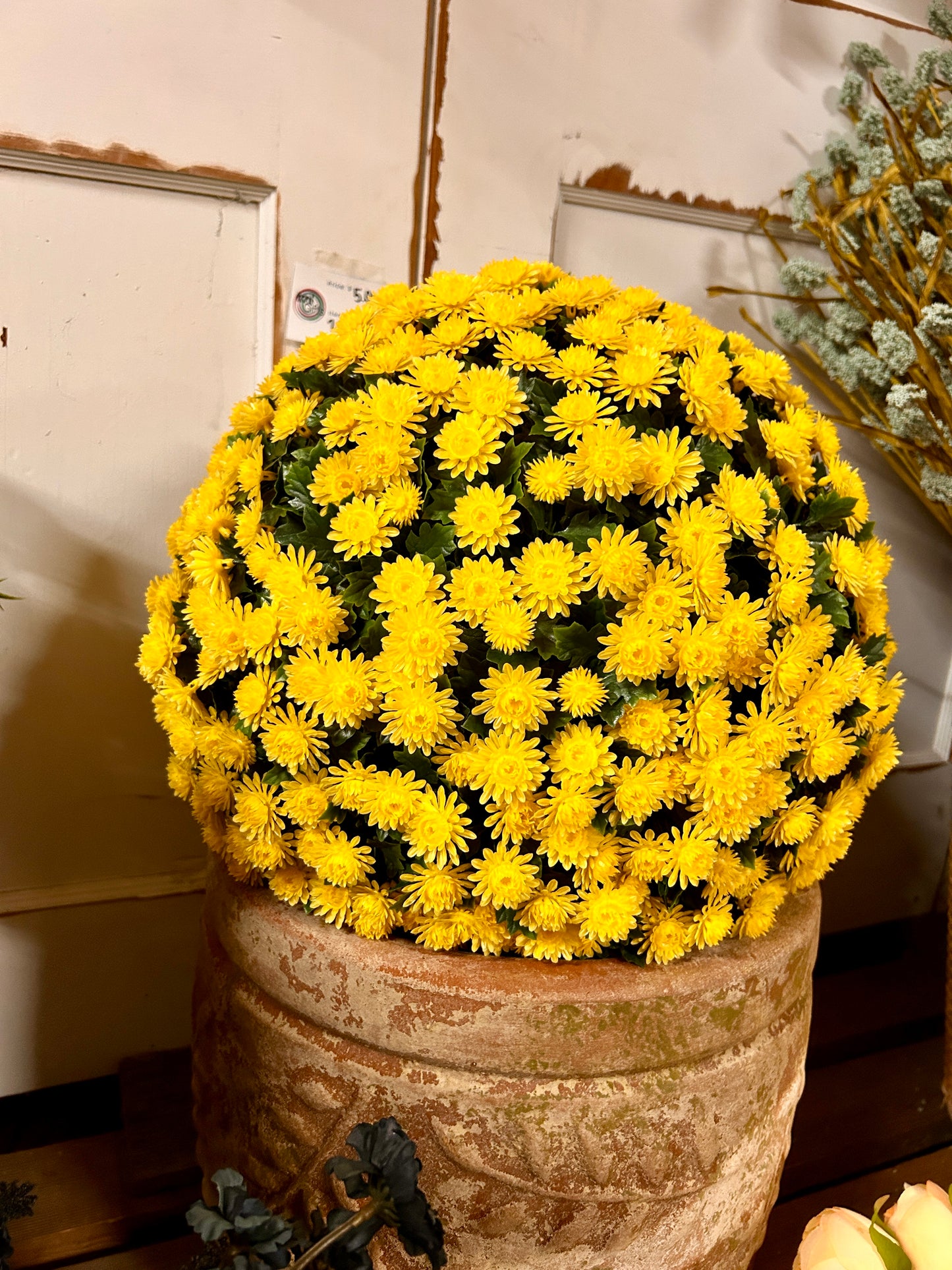 16 Inch Yellow Mum Topiary Ball