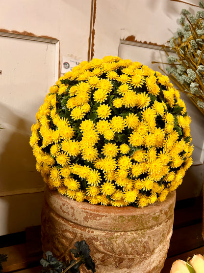 16 Inch Yellow Mum Topiary Ball