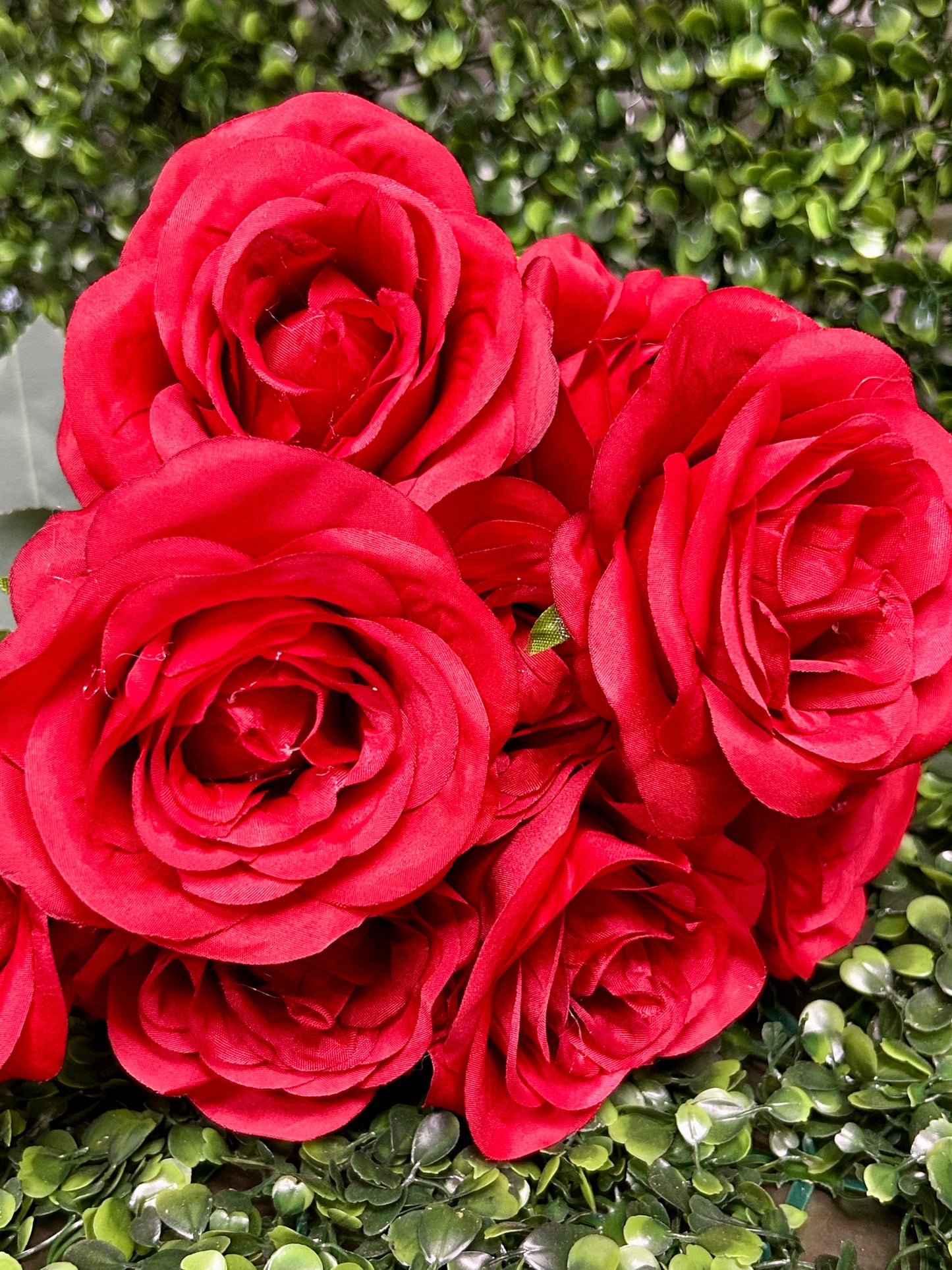 17 Inch Red Southern Rose Bush