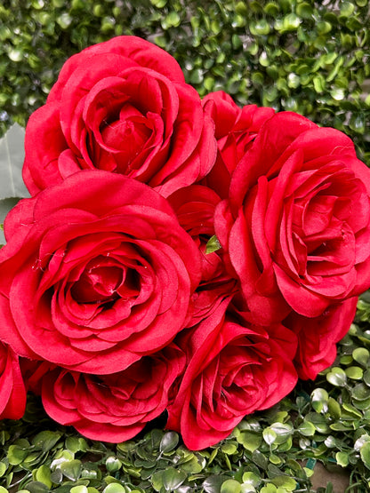 17 Inch Red Southern Rose Bush