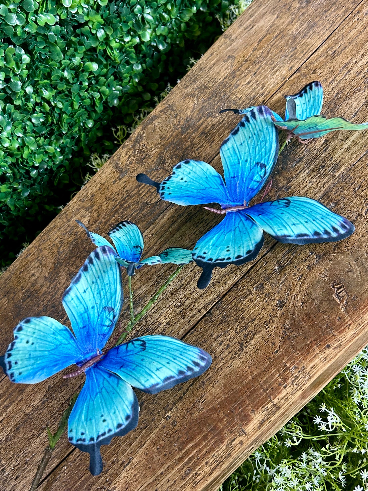 32 Inch Blue And Black Butterfly Spray