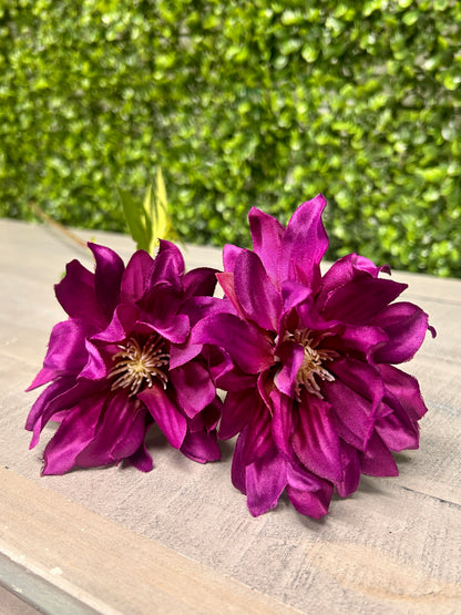 27 Inch Purple Star Dahlia Stem