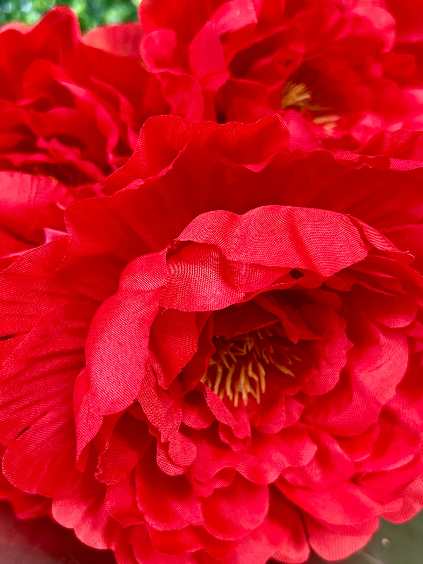 18 Inch Red Large Peony Bush