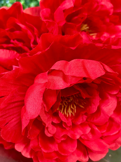 18 Inch Red Large Peony Bush