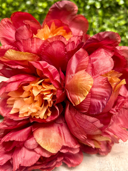 14 Inch Burgundy Peony Bush