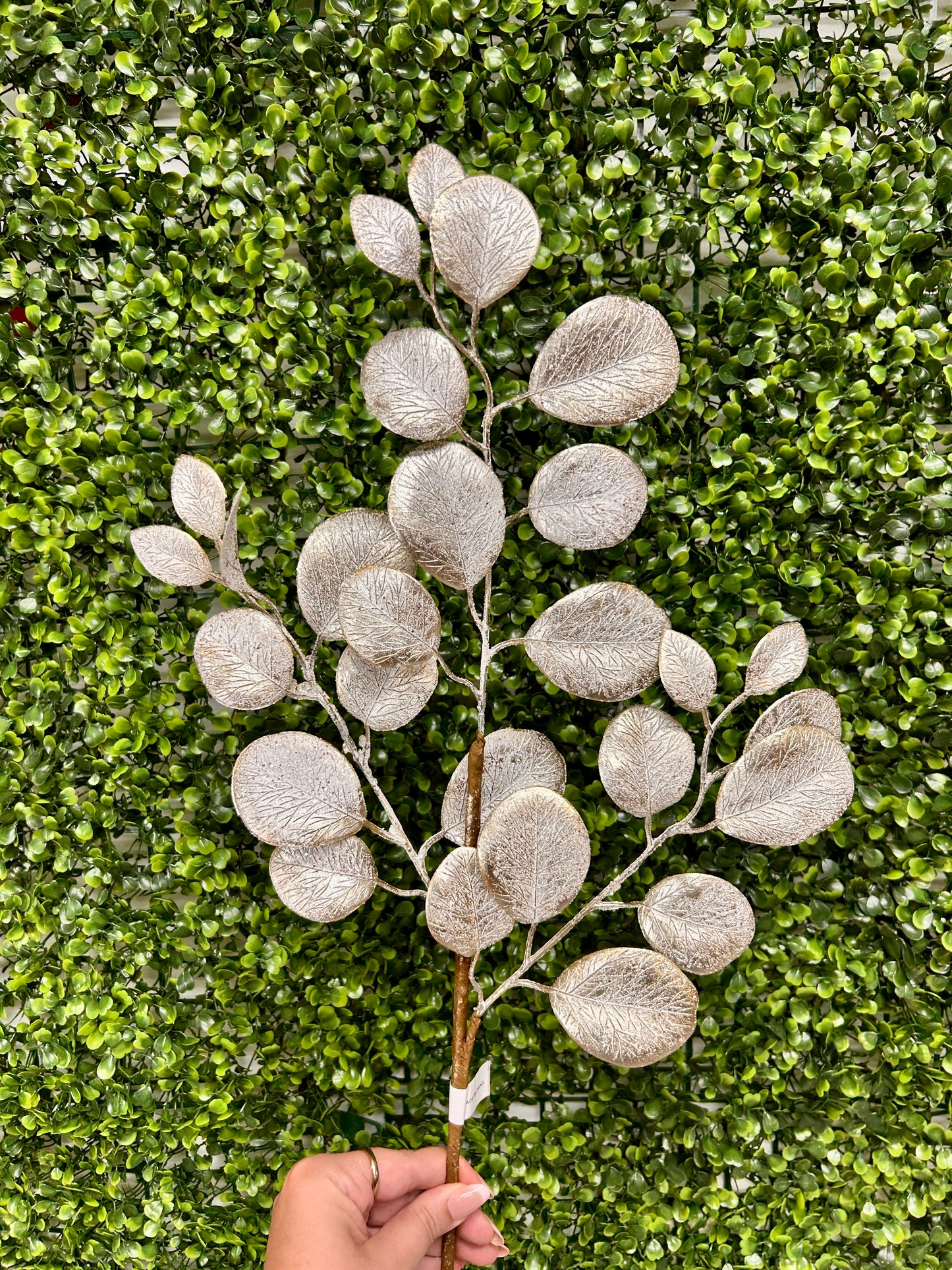 24 Inch Platinum Eucalyptus Leaf Spray With Frost