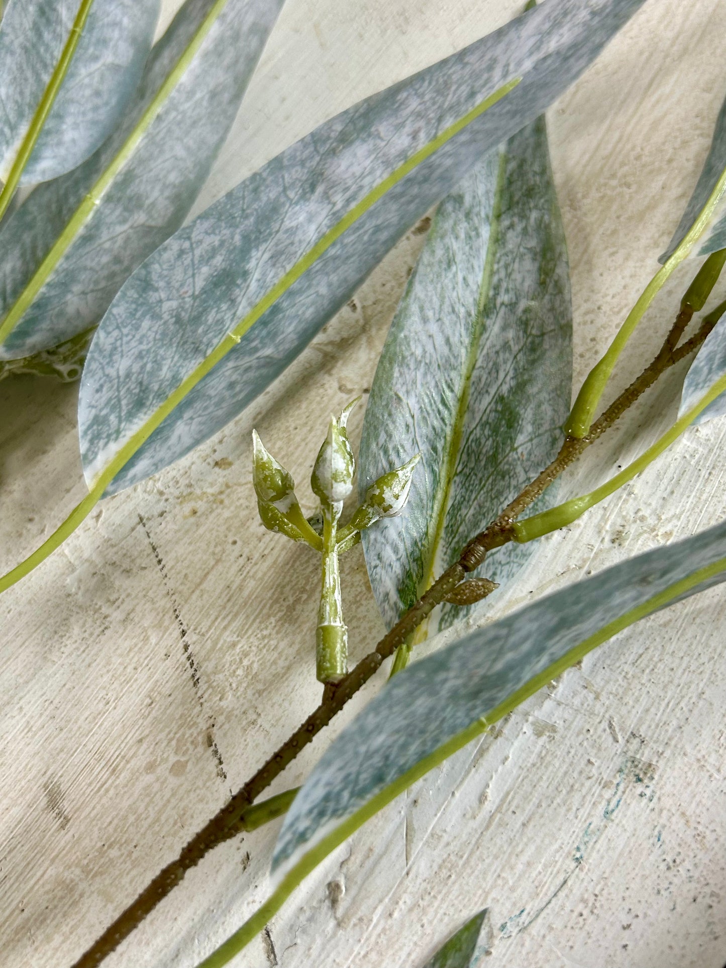 38 Inch Grey Eucalyptus Seed Spray